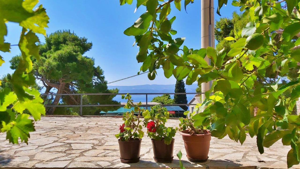 Apartments Gajo Omis Room photo