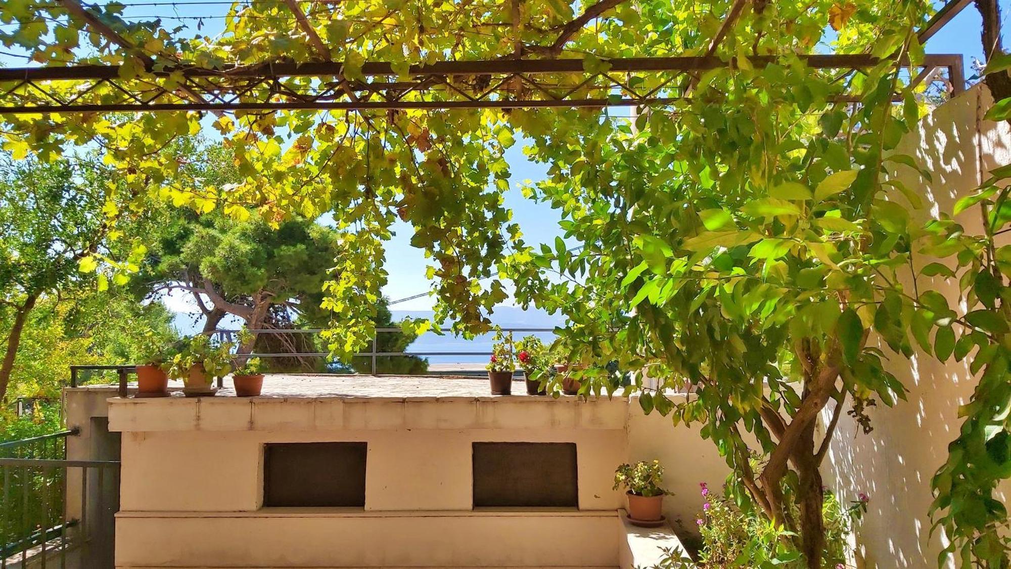 Apartments Gajo Omis Room photo
